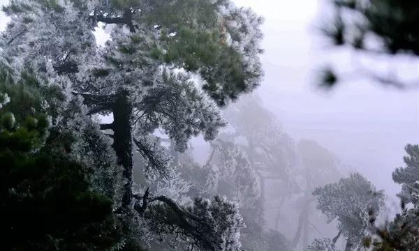 16岁黄多多在家做泡芙，模样被指像年轻时的孙莉，你怎么看？游戏画面
