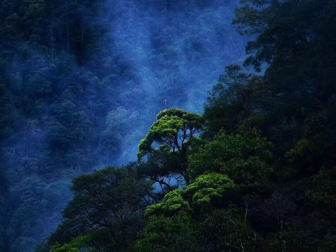 浙江证券预计白酒春节小幅增长