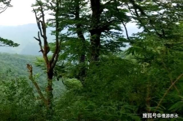 “机智号”火星直升机“摔断翅膀”,NASA 宣布任务正式结束
