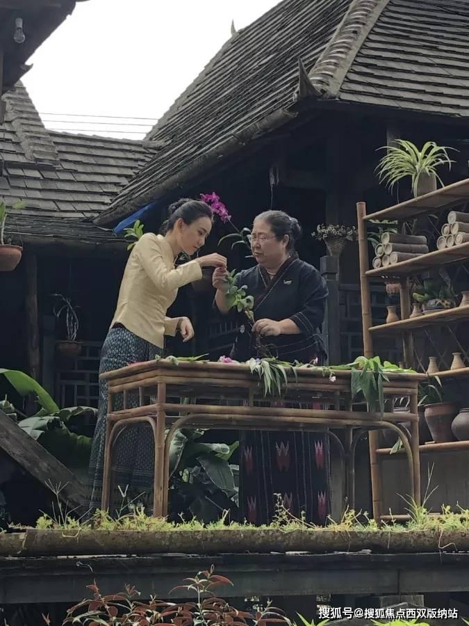 冲浪骑士