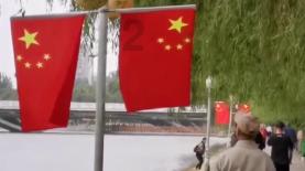 独眼萌怪吃金币